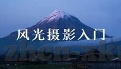 91和麻豆-擦肩而过的网络风景，数字背后的人性探索