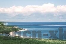 91精品国产麻豆国产自产在-深度探索国产网络内容的多维度影响，一次对91精品国产麻豆的再思考