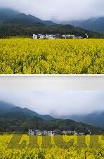 麻豆传媒女演员名字-尊重女性，守住底线，揭秘混杂在色情阴霾下的麻豆传媒女演员困境