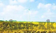 麻豆国产麻豆精品av-麻豆国产的魅力与视觉盛宴，品质与创新的双重探索